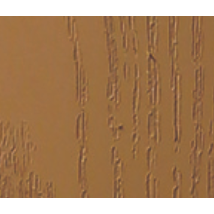 Durasheds DuraGrain Privacy w/ Accent Fence Cedar